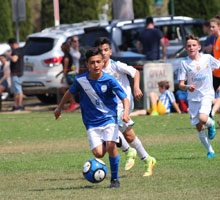 Peter Antoniou moves to Melbourne City FC's A-League Academy 