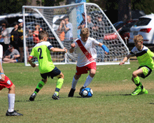 2017 Sydney International Cup