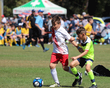 2017 Sydney International Cup