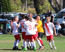 2017 Sydney International Cup