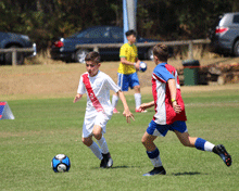 2017 Sydney International Cup