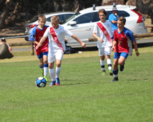 2017 Sydney International Cup