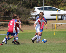 2017 Sydney International Cup