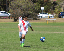 2017 Sydney International Cup