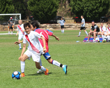 2017 Sydney International Cup