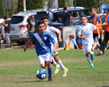 2017 Sydney International Cup