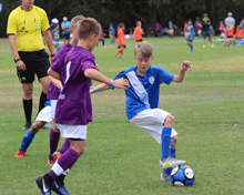 2017 Sydney International Cup