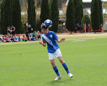 2017 Sydney International Cup