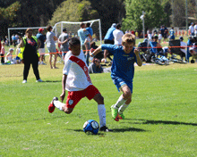 2017 Sydney International Cup