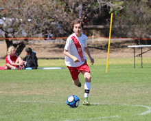 2017 Sydney International Cup