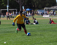 2017 Sydney International Cup